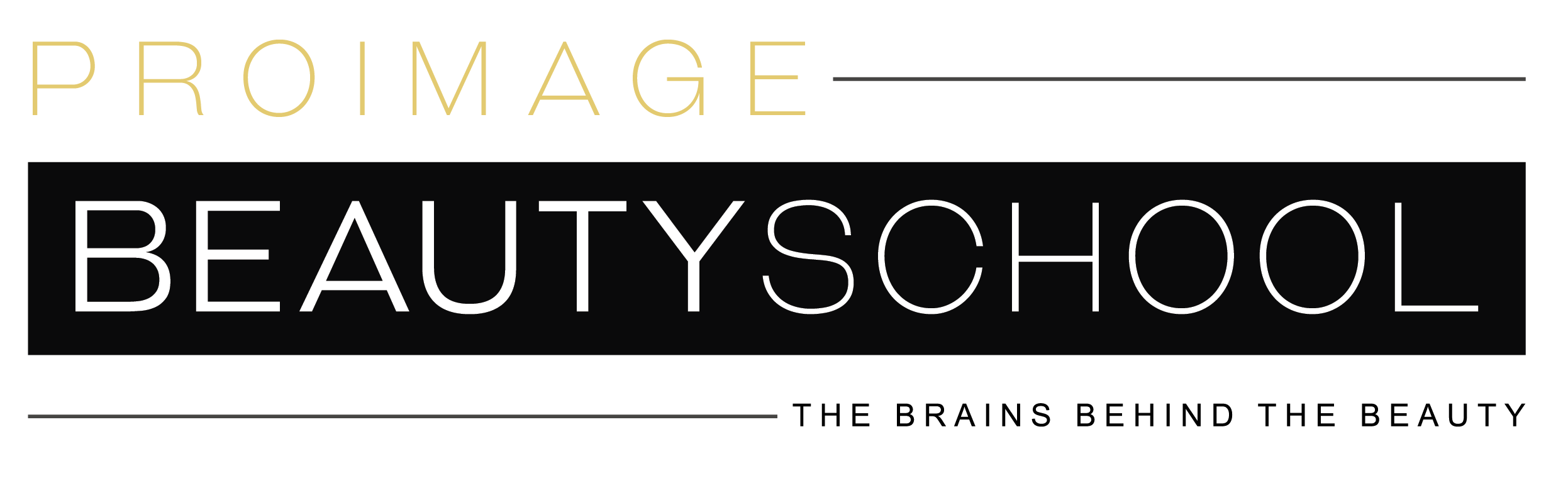 ProImage logo v2-01 (1)